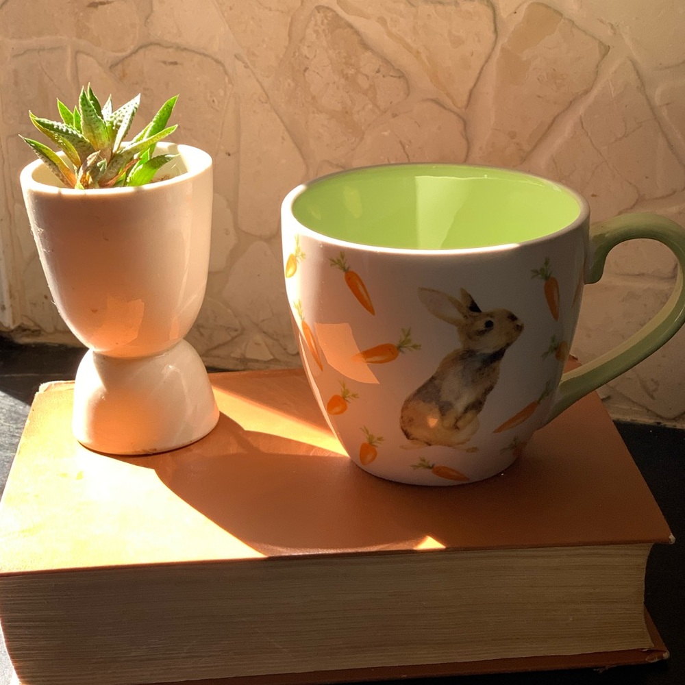 HARVEST GREEN STUDIO | Bunny and Carrot Stoneware Mug & Stencil